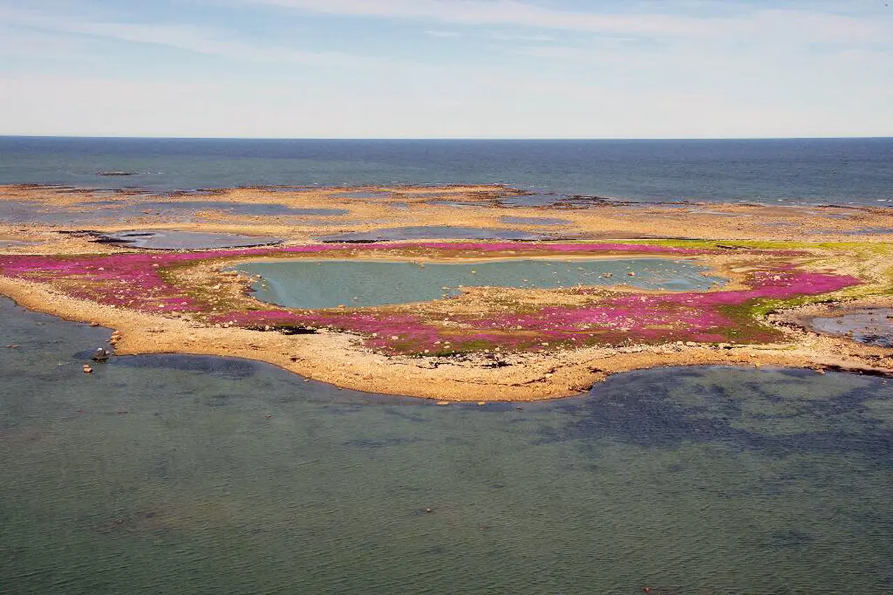 Arctic coastal landscape along the expedition route